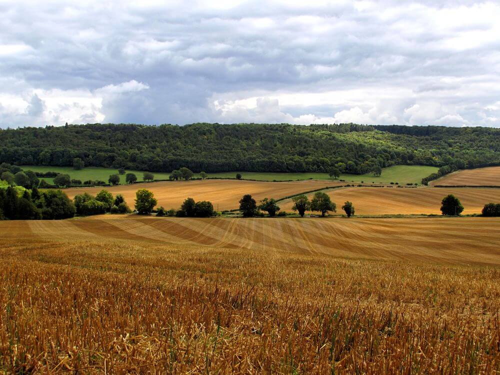 Aerial view of rolling agricultural landscape with harvested grain fields in foreground, green pastures, forested hills, a...